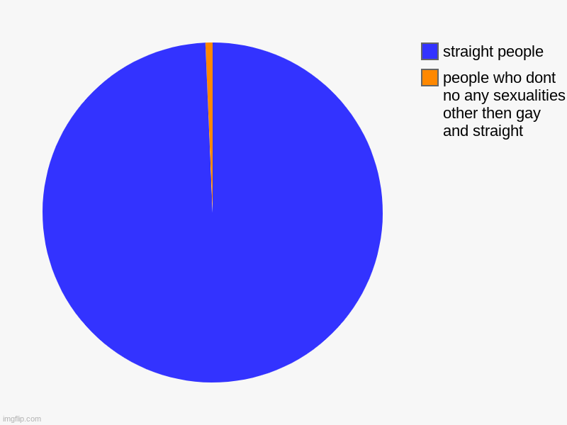 people who dont no any sexualities other then gay and straight, straight people | image tagged in charts,pie charts | made w/ Imgflip chart maker