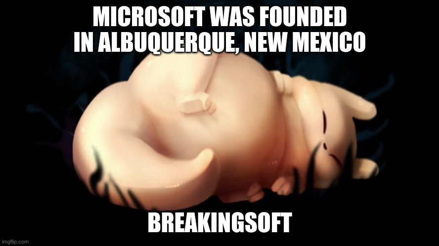 Fat frick | MICROSOFT WAS FOUNDED IN ALBUQUERQUE, NEW MEXICO; BREAKINGSOFT | image tagged in fat frick | made w/ Imgflip meme maker