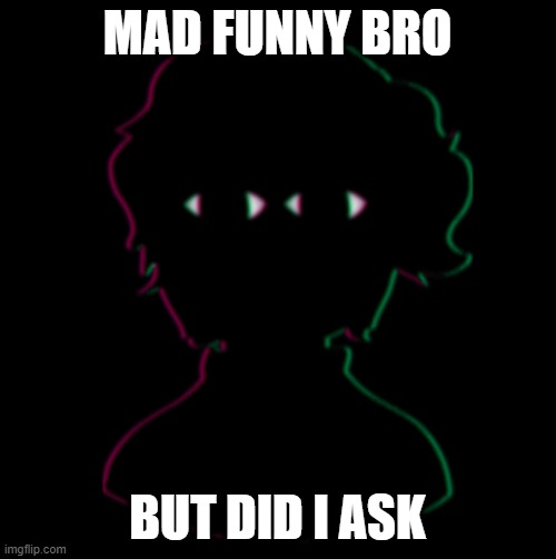 Bro, that was mad funny but did i ask | MAD FUNNY BRO BUT DID I ASK | image tagged in bro that was mad funny but did i ask | made w/ Imgflip meme maker