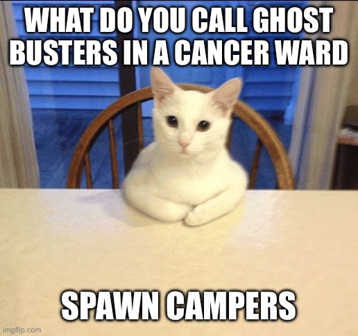 Dark humor | WHAT DO YOU CALL GHOST BUSTERS IN A CANCER WARD; SPAWN CAMPERS | image tagged in sit down human,dank memes,dark humor,dark,cat | made w/ Imgflip meme maker