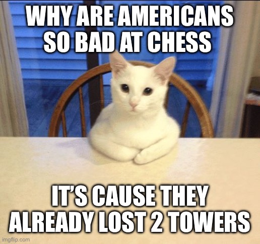 Dark humoor | WHY ARE AMERICANS SO BAD AT CHESS; IT’S CAUSE THEY ALREADY LOST 2 TOWERS | image tagged in sit down human,cats,cat,dark humor,dark,dank memes | made w/ Imgflip meme maker