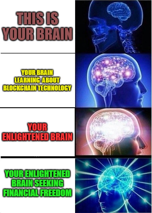 Seeking financial freedom | THIS IS YOUR BRAIN; YOUR BRAIN LEARNING  ABOUT BLOCKCHAIN TECHNOLOGY; YOUR ENLIGHTENED BRAIN; YOUR ENLIGHTENED BRAIN SEEKING FINANCIAL FREEDOM | image tagged in memes,expanding brain | made w/ Imgflip meme maker