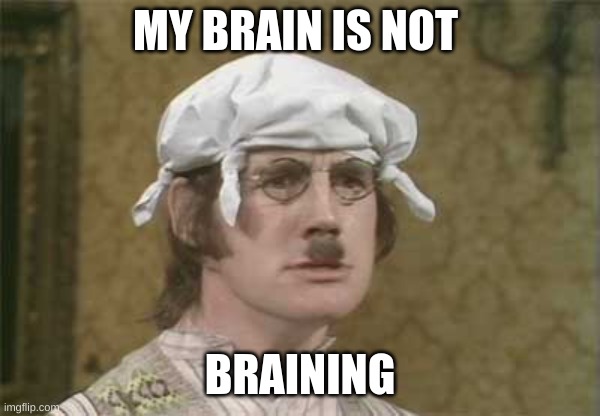 My brain hurts | MY BRAIN IS NOT BRAINING | image tagged in my brain hurts | made w/ Imgflip meme maker