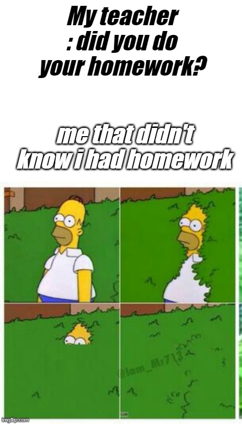 school be like | My teacher : did you do your homework? me that didn't know i had homework | image tagged in homer hides,school | made w/ Imgflip meme maker