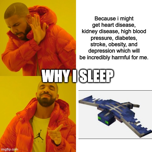 Drake Hotline Bling | Because i might get heart disease, kidney disease, high blood pressure, diabetes, stroke, obesity, and depression which will be incredibly harmful for me. WHY I SLEEP | image tagged in memes,drake hotline bling | made w/ Imgflip meme maker