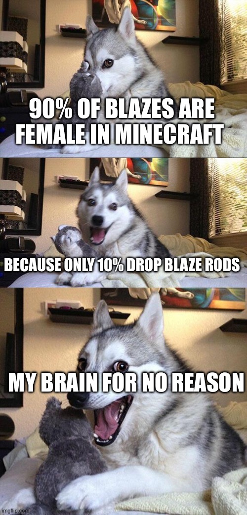 I thought about this last night for no reason | 90% OF BLAZES ARE FEMALE IN MINECRAFT; BECAUSE ONLY 10% DROP BLAZE RODS; MY BRAIN FOR NO REASON | image tagged in memes,bad pun dog | made w/ Imgflip meme maker