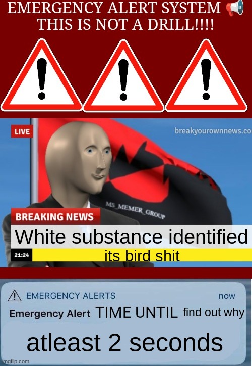 MSMG EAS Alarm | White substance identified; its bird shit; find out why; atleast 2 seconds | image tagged in msmg eas alarm | made w/ Imgflip meme maker