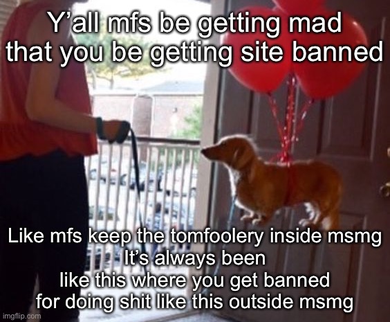 walkin me dog fr | Y’all mfs be getting mad that you be getting site banned; Like mfs keep the tomfoolery inside msmg
It’s always been like this where you get banned for doing shit like this outside msmg | image tagged in walkin me dog fr | made w/ Imgflip meme maker
