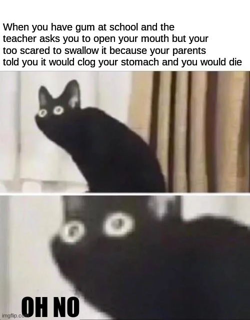 Scariest moment of my life | When you have gum at school and the teacher asks you to open your mouth but your too scared to swallow it because your parents told you it would clog your stomach and you would die; OH NO | image tagged in oh no black cat | made w/ Imgflip meme maker