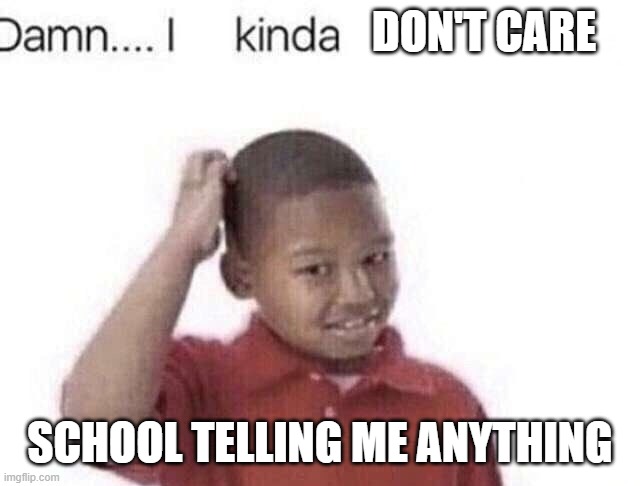 Damn I kinda don’t meme | DON'T CARE; SCHOOL TELLING ME ANYTHING | image tagged in damn i kinda don t meme | made w/ Imgflip meme maker