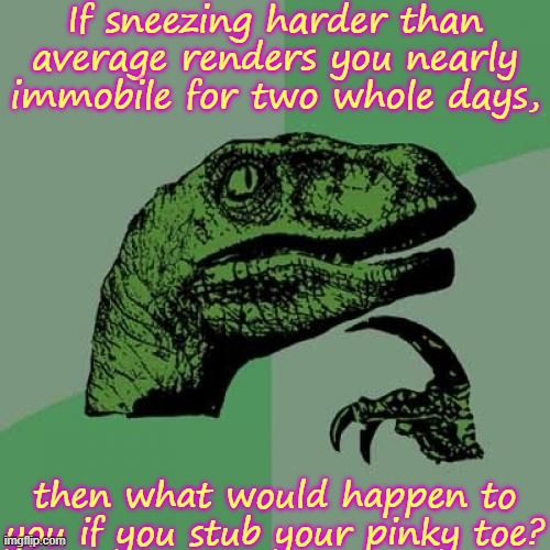 :) | If sneezing harder than average renders you nearly immobile for two whole days, then what would happen to you if you stub your pinky toe? | image tagged in memes,philosoraptor | made w/ Imgflip meme maker