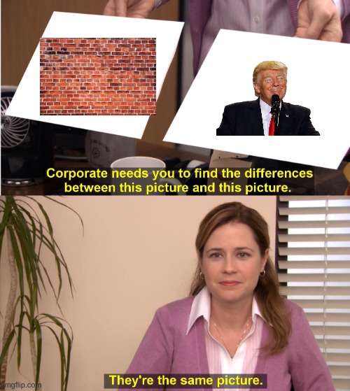 They're The Same Picture | image tagged in memes,they're the same picture | made w/ Imgflip meme maker