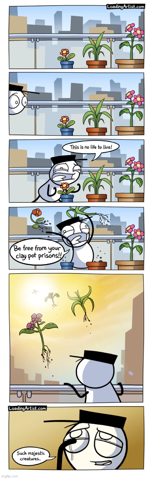 image tagged in comic,plants,flowers,flying,away,why are you reading the tags | made w/ Imgflip meme maker