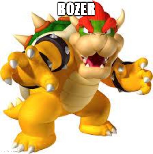 Bowser | BOZER | image tagged in bowser | made w/ Imgflip meme maker