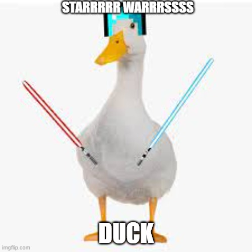STARRRRR WARRRSSSS; DUCK | made w/ Imgflip meme maker