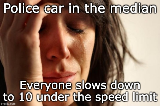 First World Problems | Police car in the median; Everyone slows down to 10 under the speed limit | image tagged in memes,first world problems | made w/ Imgflip meme maker