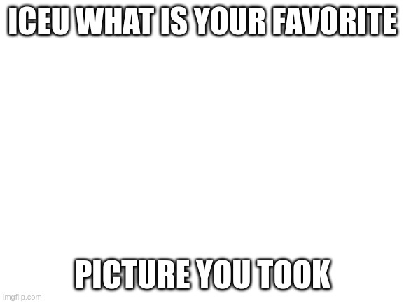 ? | ICEU WHAT IS YOUR FAVORITE; PICTURE YOU TOOK | image tagged in blank white template,iceu | made w/ Imgflip meme maker