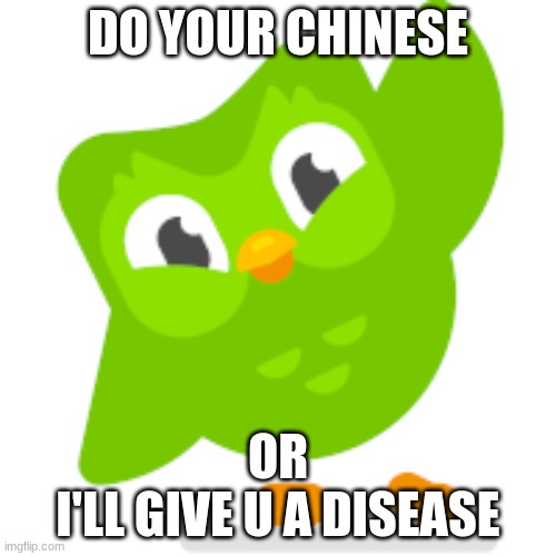 Duolingo memes | DO YOUR CHINESE; OR
I'LL GIVE U A DISEASE | image tagged in duolingo memes | made w/ Imgflip meme maker