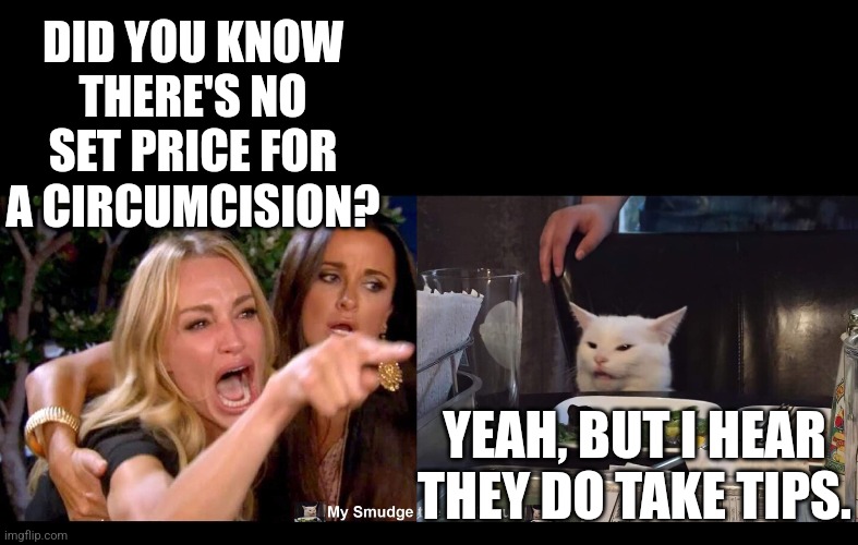 DID YOU KNOW THERE'S NO SET PRICE FOR A CIRCUMCISION? YEAH, BUT I HEAR THEY DO TAKE TIPS. | image tagged in smudge the cat | made w/ Imgflip meme maker