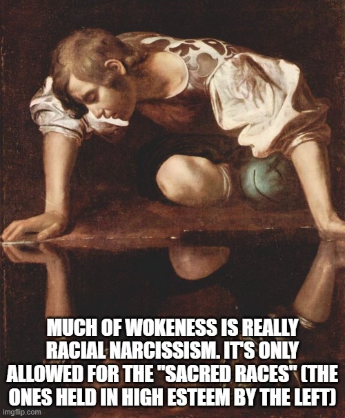 narcissus | MUCH OF WOKENESS IS REALLY RACIAL NARCISSISM. IT'S ONLY ALLOWED FOR THE "SACRED RACES" (THE ONES HELD IN HIGH ESTEEM BY THE LEFT) | image tagged in narcissus | made w/ Imgflip meme maker