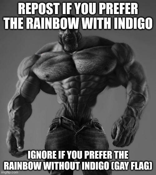 GigaChad | REPOST IF YOU PREFER THE RAINBOW WITH INDIGO; IGNORE IF YOU PREFER THE RAINBOW WITHOUT INDIGO (GAY FLAG) | image tagged in gigachad | made w/ Imgflip meme maker