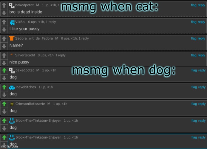 msmg when cat:; msmg when dog: | made w/ Imgflip meme maker