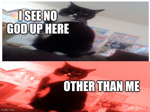 my cat version | I SEE NO GOD UP HERE; OTHER THAN ME | made w/ Imgflip meme maker