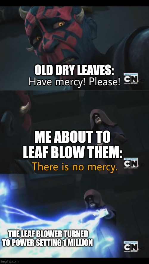 I have no mercy for leaves on the driveway | OLD DRY LEAVES:; ME ABOUT TO LEAF BLOW THEM:; THE LEAF BLOWER TURNED TO POWER SETTING 1 MILLION | image tagged in no mercy | made w/ Imgflip meme maker