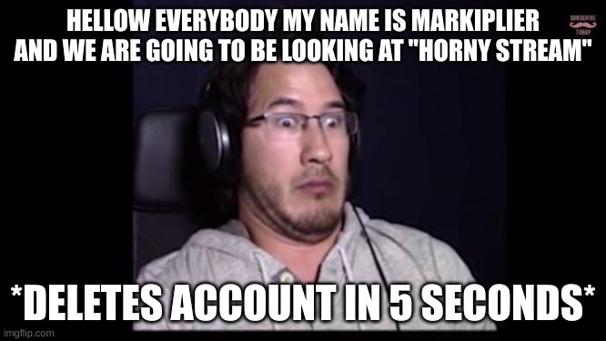 Markiplier  | HELLOW EVERYBODY MY NAME IS MARKIPLIER AND WE ARE GOING TO BE LOOKING AT "HORNY STREAM" *DELETES ACCOUNT IN 5 SECONDS* | image tagged in markiplier | made w/ Imgflip meme maker