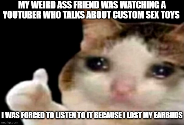 I hate my life | MY WEIRD ASS FRIEND WAS WATCHING A YOUTUBER WHO TALKS ABOUT CUSTOM SEX TOYS; I WAS FORCED TO LISTEN TO IT BECAUSE I LOST MY EARBUDS | image tagged in sad cat thumbs up | made w/ Imgflip meme maker