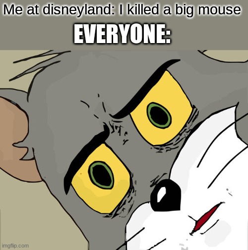 This is not true it's just a joke | Me at disneyland: I killed a big mouse; EVERYONE: | image tagged in memes,unsettled tom,disneyland | made w/ Imgflip meme maker