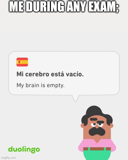 Duolingo My Brain Is Empty | ME DURING ANY EXAM; | image tagged in duolingo my brain is empty | made w/ Imgflip meme maker