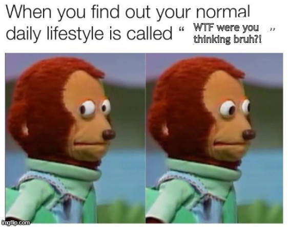 just another day for dumb pluck | WTF were you 
thinking bruh?! | image tagged in memes,dog meat | made w/ Imgflip meme maker