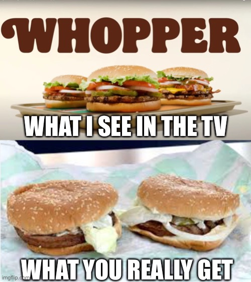 Real whopper’s | WHAT I SEE IN THE TV; WHAT YOU REALLY GET | image tagged in so true | made w/ Imgflip meme maker
