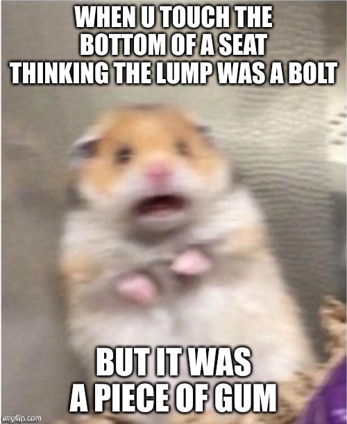 Learned that the hard way | WHEN U TOUCH THE BOTTOM OF A SEAT THINKING THE LUMP WAS A BOLT; BUT IT WAS A PIECE OF GUM | image tagged in scared hamster | made w/ Imgflip meme maker