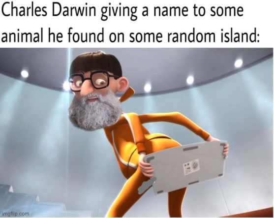 image tagged in memes,funny | made w/ Imgflip meme maker