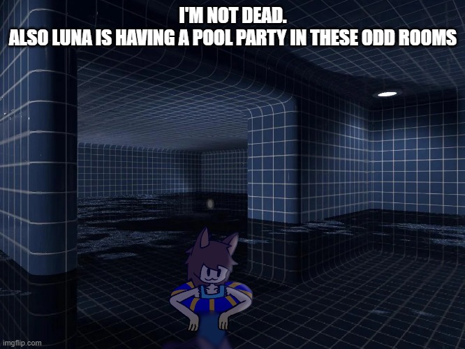 Time to go back to not posting for weeks and weeks but checking in and seeing random bullshit | I'M NOT DEAD.
ALSO LUNA IS HAVING A POOL PARTY IN THESE ODD ROOMS | made w/ Imgflip meme maker
