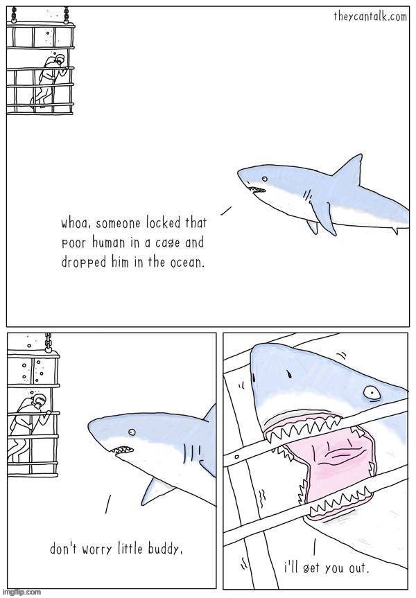 image tagged in comics/cartoons | made w/ Imgflip meme maker
