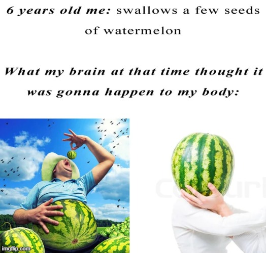 I can feel something growing inside of me already | image tagged in watermelon,repost,childhood,memes,funny,melons | made w/ Imgflip meme maker