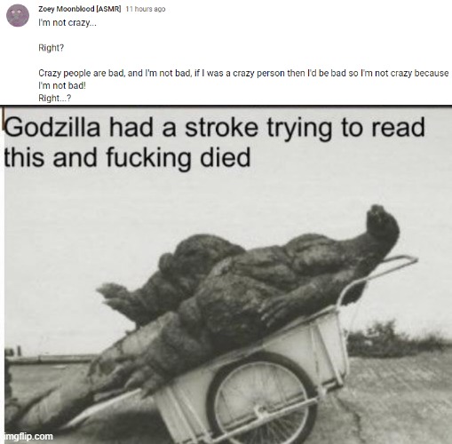 What in the world did I just read? | image tagged in godzilla,asmr | made w/ Imgflip meme maker