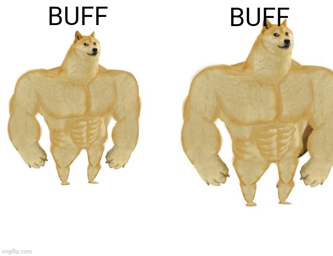 THE BUFF DOGE VS THE BUFF DOGE | BUFF; BUFF | image tagged in buff doge vs cheems | made w/ Imgflip meme maker