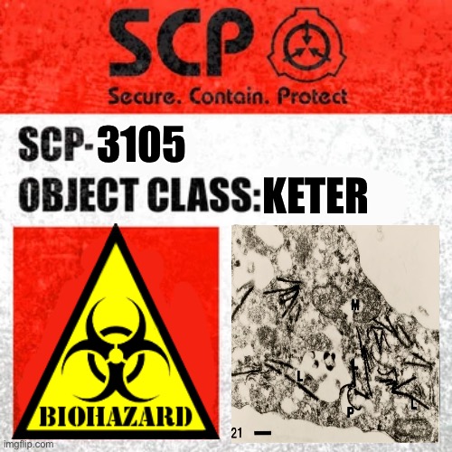 SCP-3105 (Laxity) (this page is the lowest rated on the wiki) | KETER; 3105 | image tagged in scp label template keter | made w/ Imgflip meme maker
