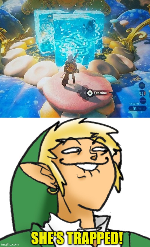 TRAPPED THE GREAT FAIRY | SHE'S TRAPPED! | image tagged in the legend of zelda breath of the wild,the legend of zelda,link | made w/ Imgflip meme maker