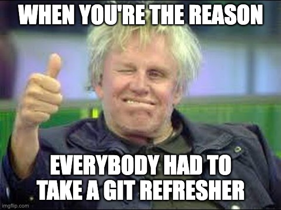 git refresher | WHEN YOU'RE THE REASON; EVERYBODY HAD TO TAKE A GIT REFRESHER | image tagged in gary busey approves | made w/ Imgflip meme maker
