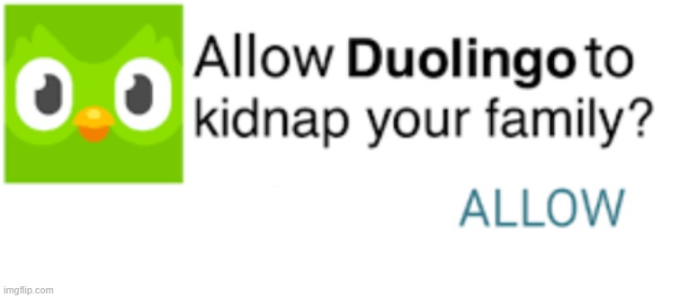 allow duolingo to kidnap your family? | image tagged in allow duolingo to kidnap your family | made w/ Imgflip meme maker