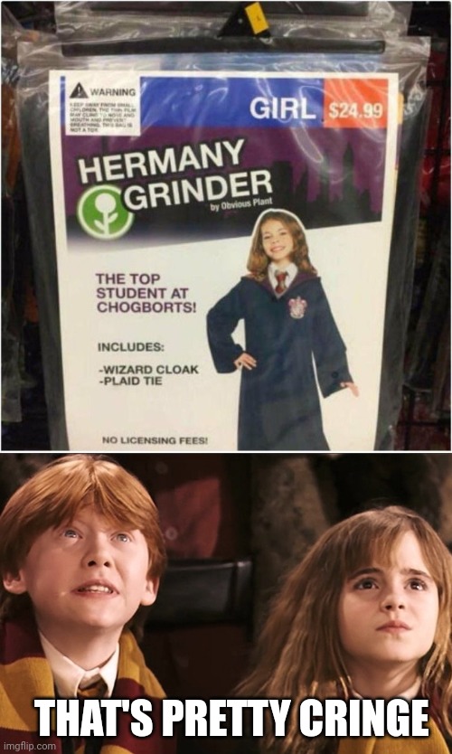 HERMANY GRINDER | THAT'S PRETTY CRINGE | image tagged in ron and hermione,harry potter,bootleg | made w/ Imgflip meme maker