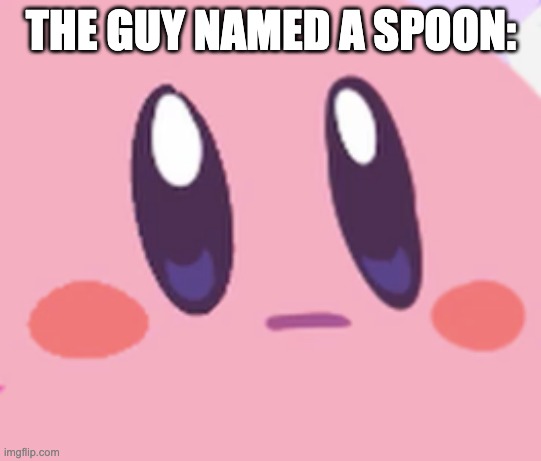 THE GUY NAMED A SPOON: | image tagged in blank kirby face | made w/ Imgflip meme maker