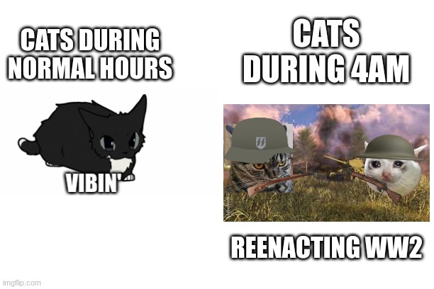 Facts | CATS DURING 4AM; CATS DURING NORMAL HOURS; REENACTING WW2 | image tagged in ww2,cats | made w/ Imgflip meme maker