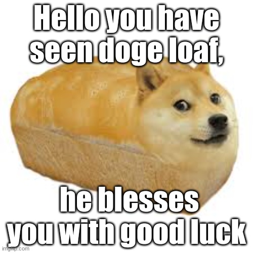 :) | Hello you have seen doge loaf, he blesses you with good luck | image tagged in doge,bread | made w/ Imgflip meme maker