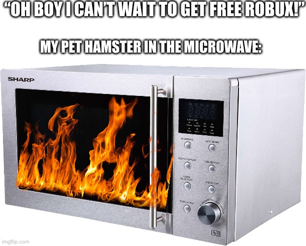 Unoriginal meme | “OH BOY I CAN’T WAIT TO GET FREE ROBUX!”; MY PET HAMSTER IN THE MICROWAVE: | image tagged in microwave,robux,roblox | made w/ Imgflip meme maker